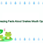 Amazing Facts About Snakes Mouth Open