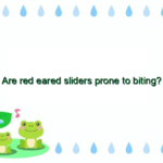 Are red eared sliders prone to biting?