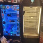 Best Ball Python Egg Incubator for Successful Breeding