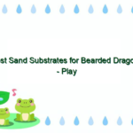 Best Sand Substrates for Bearded Dragons – Play Sand for Your Pet