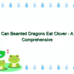 Can Bearded Dragons Eat Clover – A Comprehensive Guide