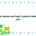 Can chickens eat frogs? A guide to feeding your chickens a healthy diet
