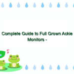 Complete Guide to Full Grown Ackie Monitors – Size, Care, and Behavior