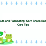 Cute and Fascinating: Corn Snake Baby Care Tips and Facts