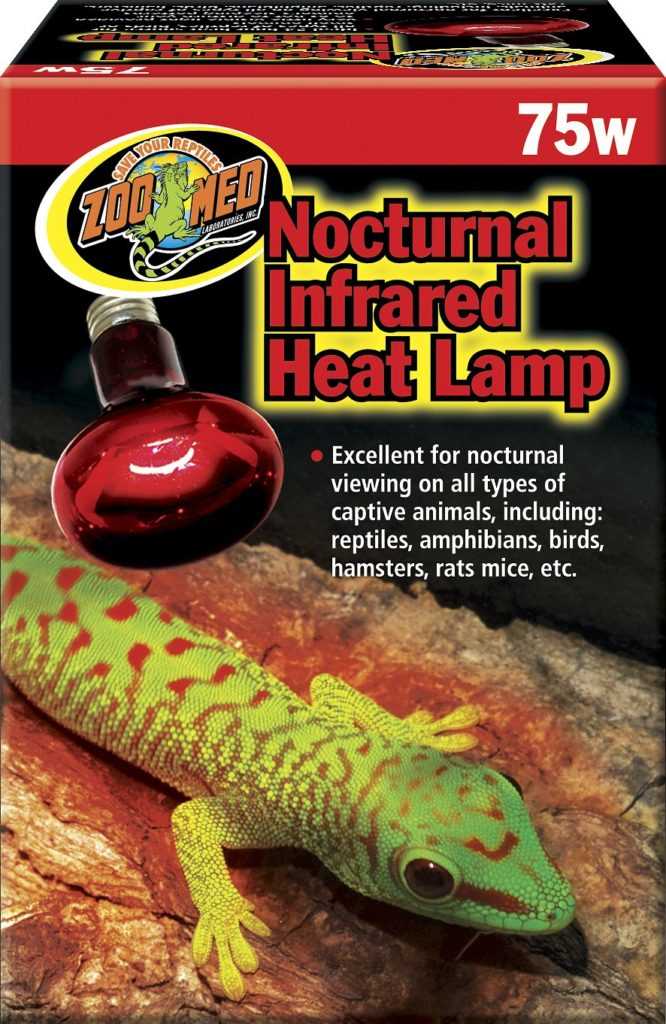 Does a Corn Snake Require a Heat Lamp? - Vital Frog