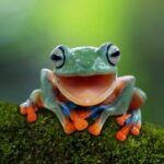 Do Frogs Blink? Find Out the Answer Here