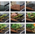 Drainage Layer Terrarium
