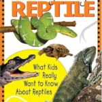 Explore the Fascinating World of Reptiles: Facts, Species, and Care Guide