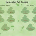 Funny Snake Nicknames: Hiss-terically Clever Names for Your Slithering Sidekick