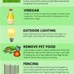 Effective Methods for Removing a Frog from Your House