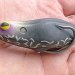 Simple tricks for successful frog fishing