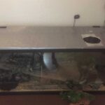 Tips for maintaining humidity in a screen top cage