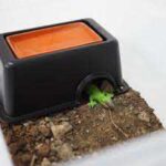 Humidity Box for Snakes – The Perfect Solution for Maintaining Proper Humidity Levels