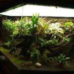 The Best Large Vivariums for Your Pet Reptiles