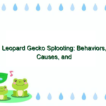 Leopard Gecko Splooting: Behaviors, Causes, and What It Means