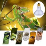 Discover the Benefits of Using a Lizard Light Bulb for Your Home