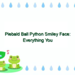 Piebald Ball Python Smiley Face: Everything You Need to Know