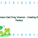 Poison Dart Frog Vivarium – Creating the Perfect Habitat for Your Pet Poison Dart Frog