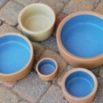 Snake water dish: How to choose the best water dish for your pet snake