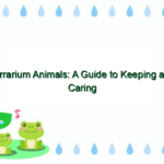 Terrarium Animals: A Guide to Keeping and Caring for Reptiles and Amphibians