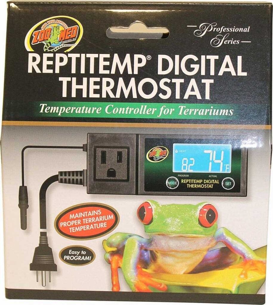 Beautiful view of Temperature And Reptile Health