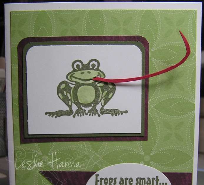The Color of a Frog's Tongue Revealed: Surprising Facts to Know - Vital ...