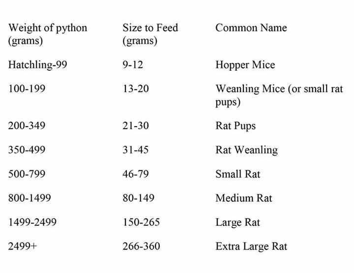 Ball python feeding chart