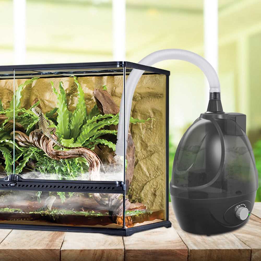 The Benefits of Using a Humidifier for Ball Pythons