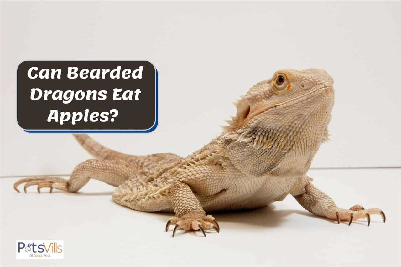 Tips for Feeding Apples to Bearded Dragons