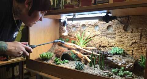 Bioactive substrate for leopard geckos