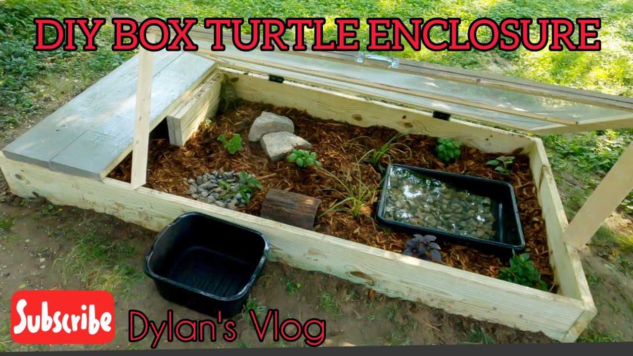 Providing Adequate Shelter for Your Outdoor Box Turtle