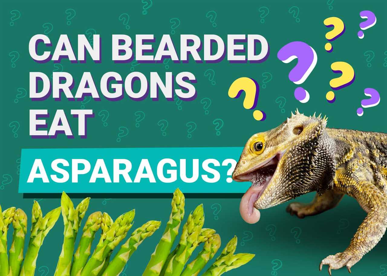 Overview of Bearded Dragon Diet