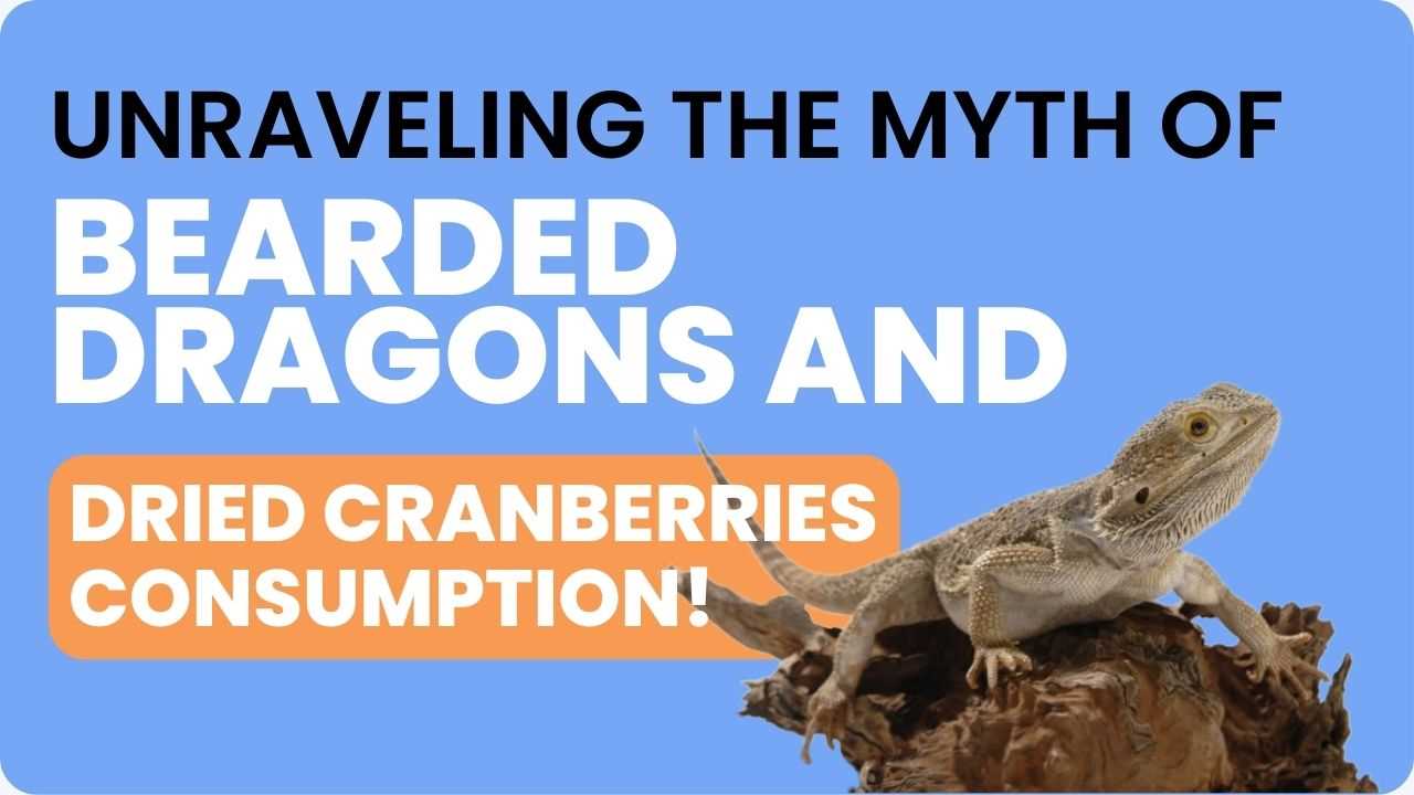 Can bearded dragons eat cranberries