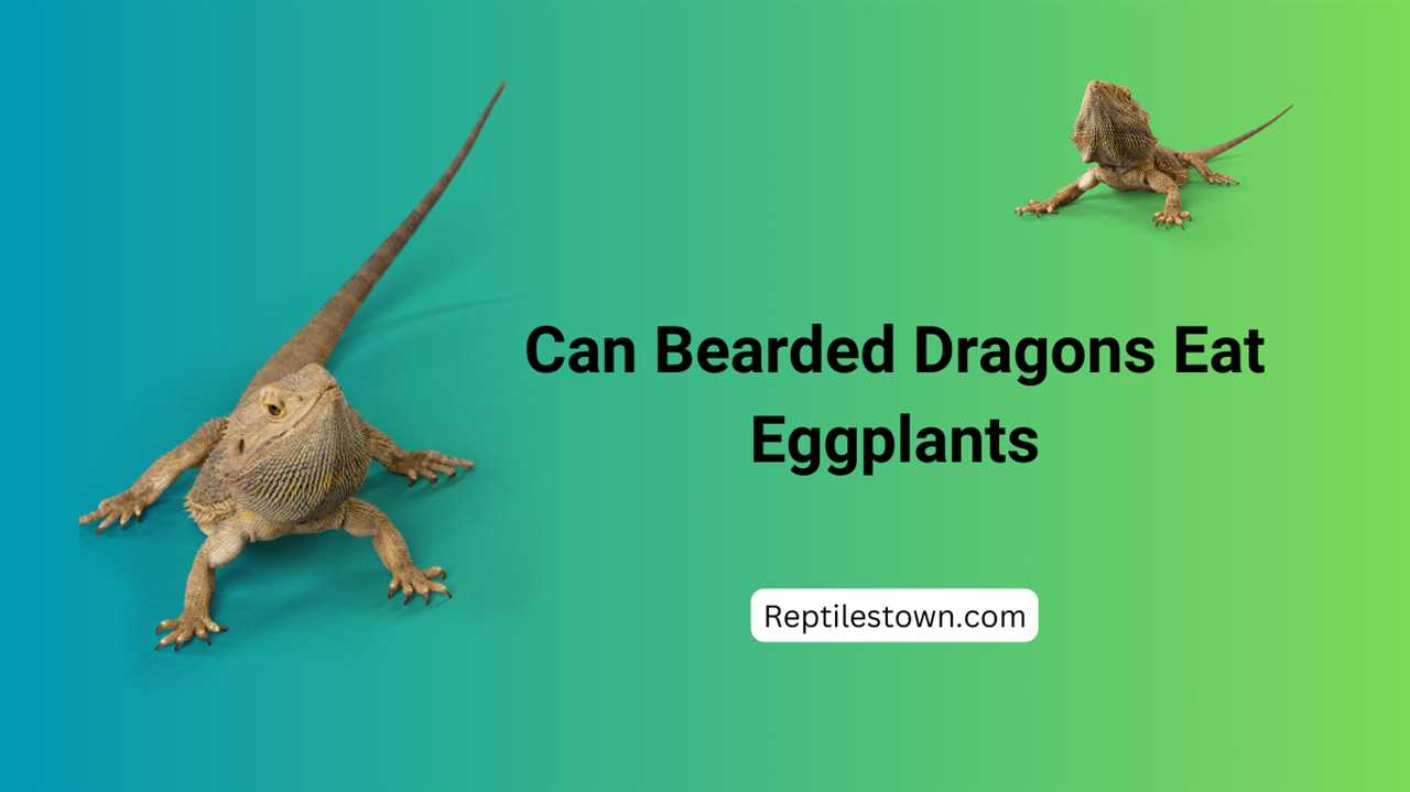 Can bearded dragons eat eggplant