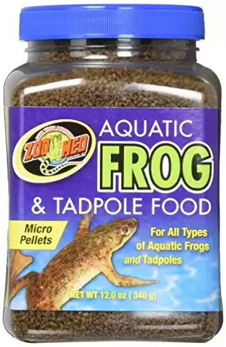 Can frogs eat fish food