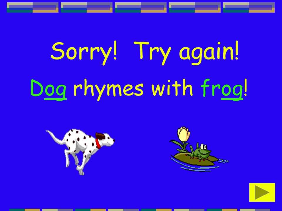 Differences between dog and frog