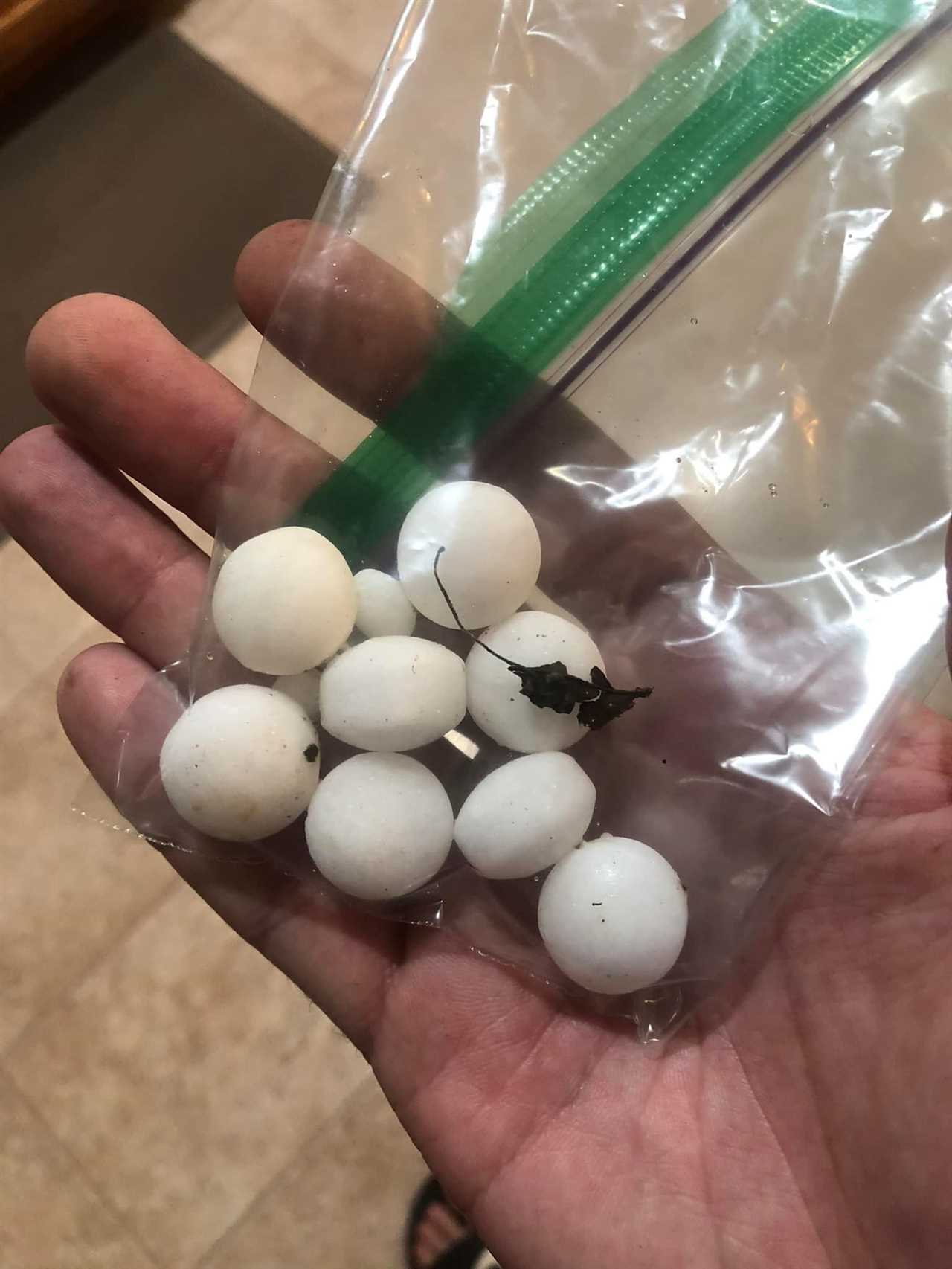 Do moth balls keep frogs away