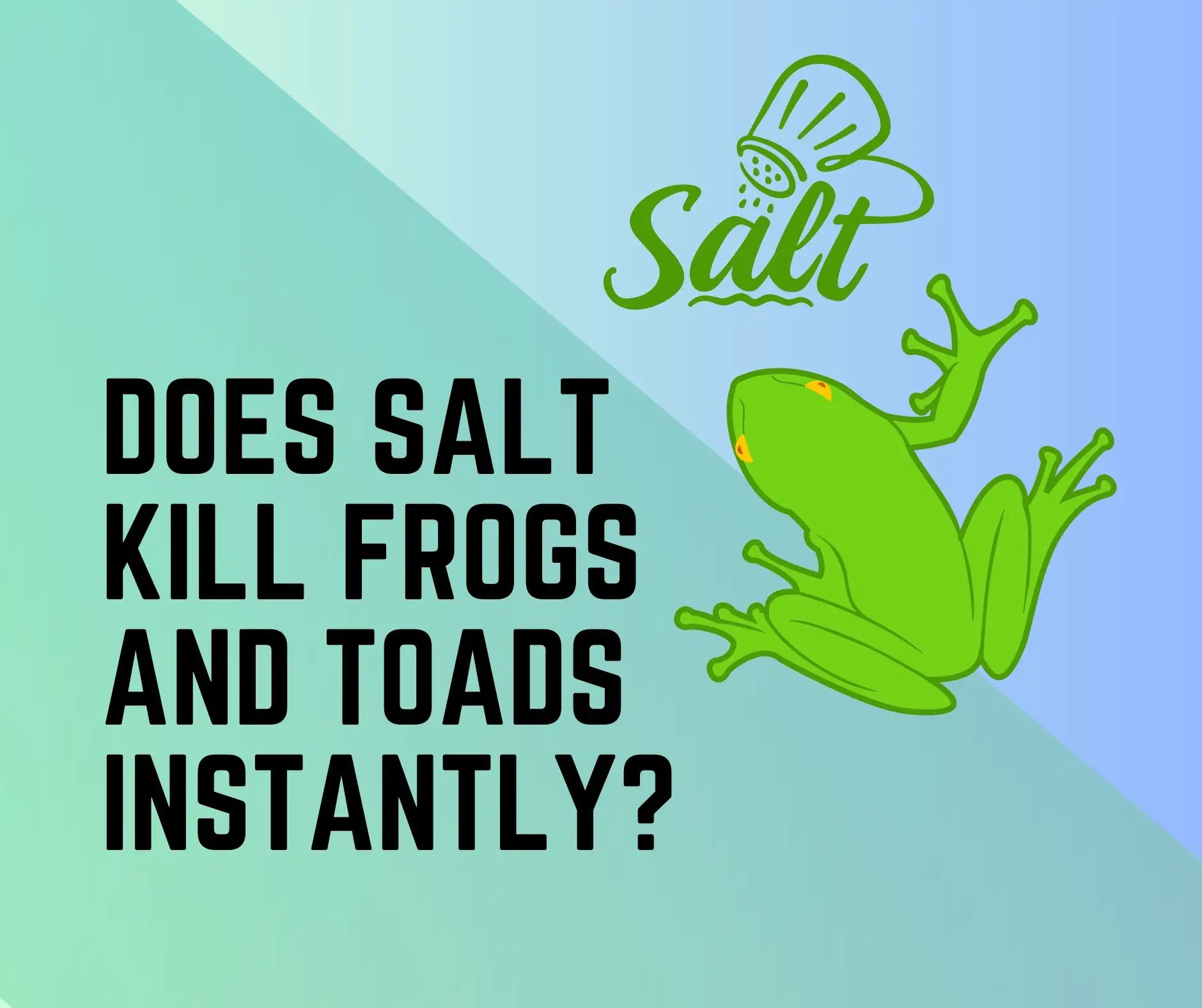 Can Salt Kill Frogs? 