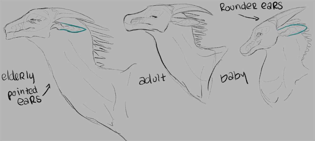 Physical Characteristics of Dragon Ears