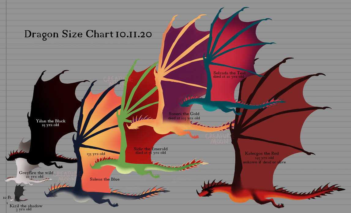 Dragon Sizes A Comprehensive Chart Of Dragon Sizes Vital Frog