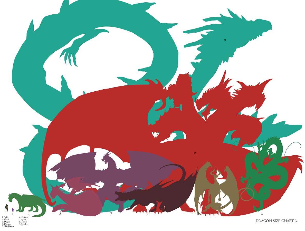 Dragon Sizes A Comprehensive Chart Of Dragon Sizes Vital Frog