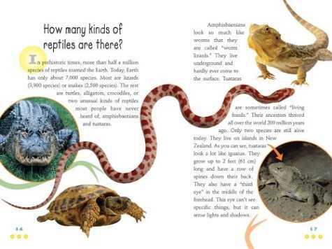 Reptiles and Their Adaptations to Different Environments