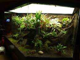 The Benefits of Large Vivariums