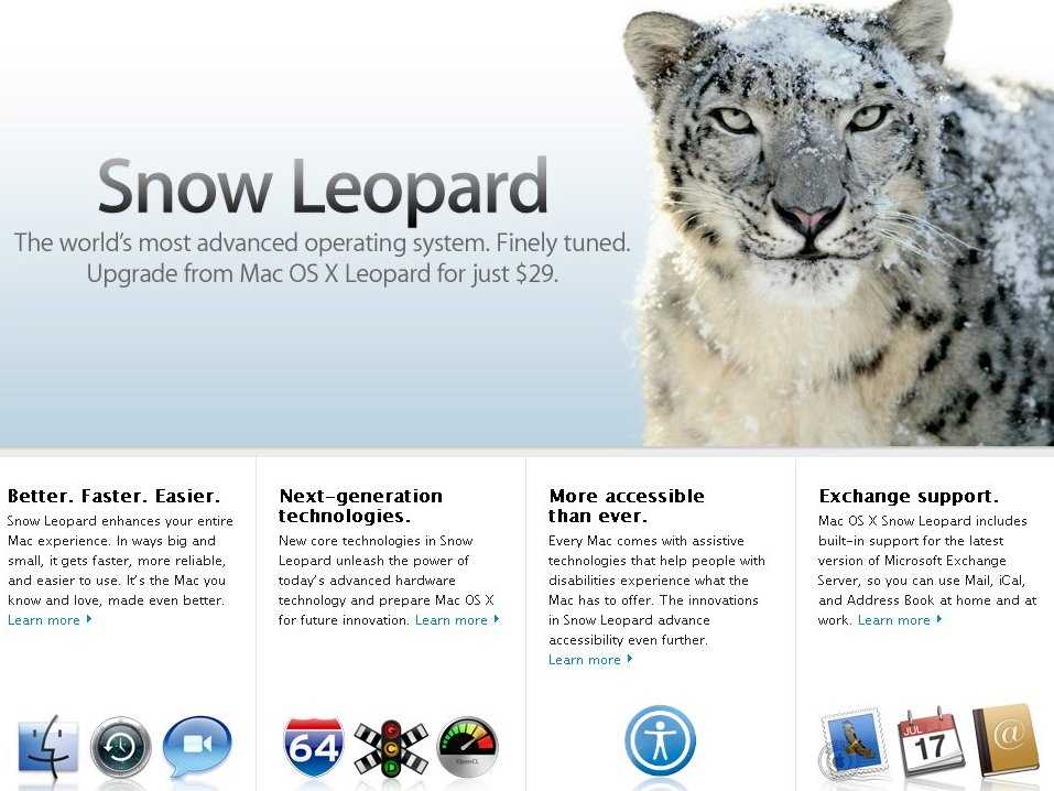 Noble Names for Snow Leopards