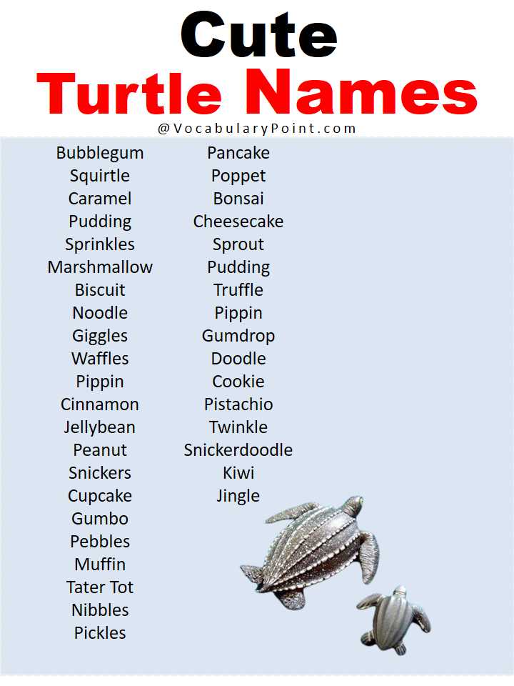 Names inspired by turtle habitats