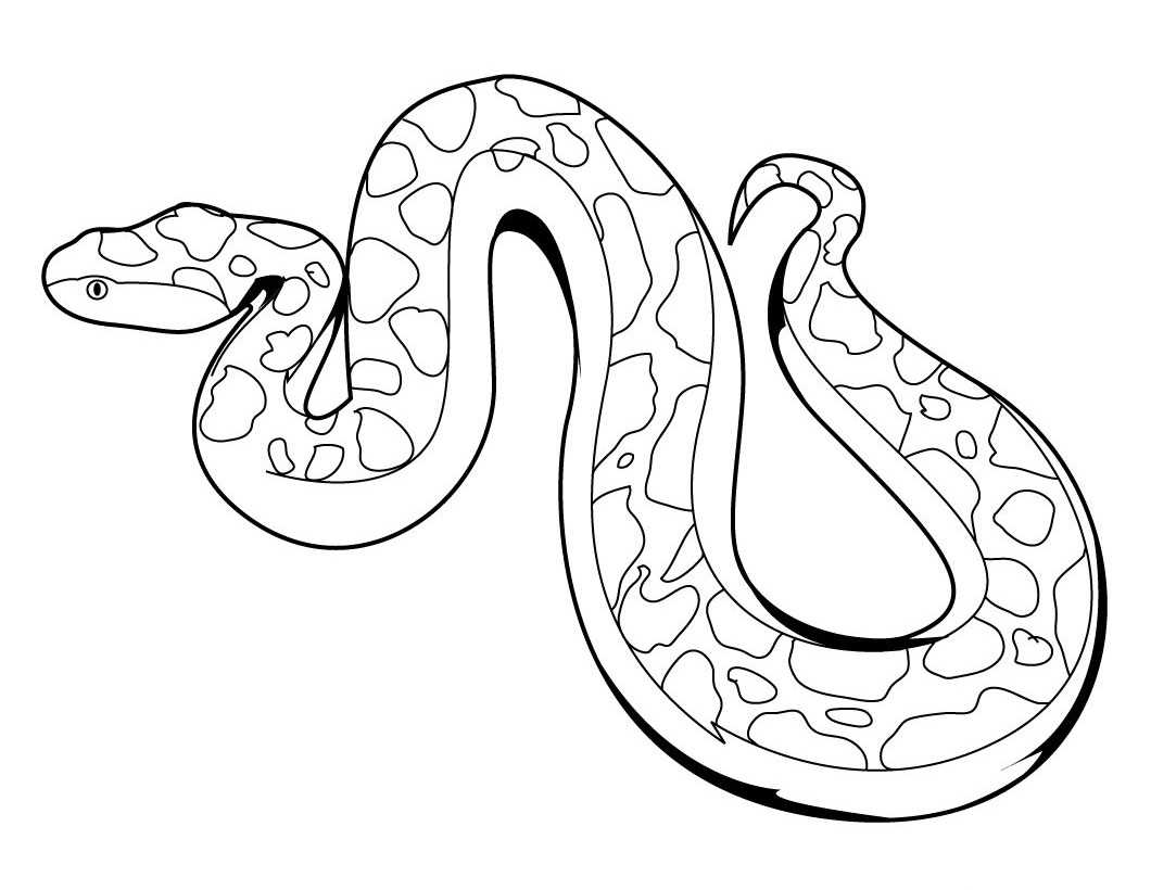 Cute Snake Coloring Pages for Toddlers