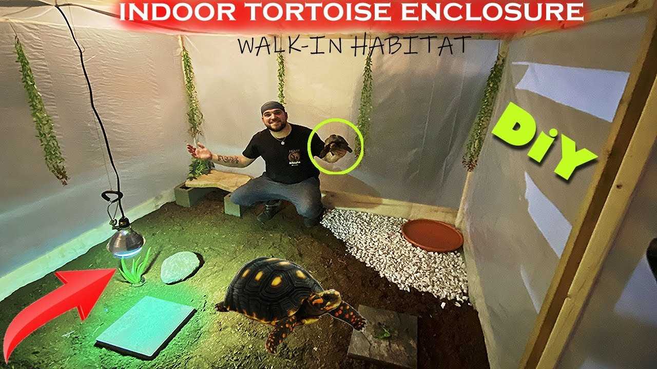 Ensuring Proper Temperature and Humidity for Red Foot Tortoise Enclosures