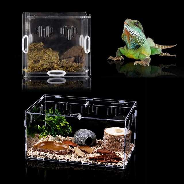How the Tank Size Impacts Your Reptile's Health and Well-being