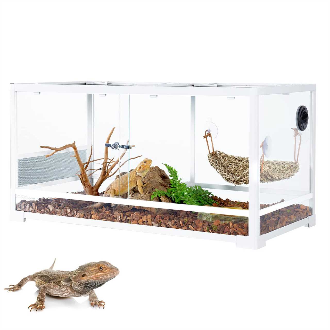 Reptile tank sizes