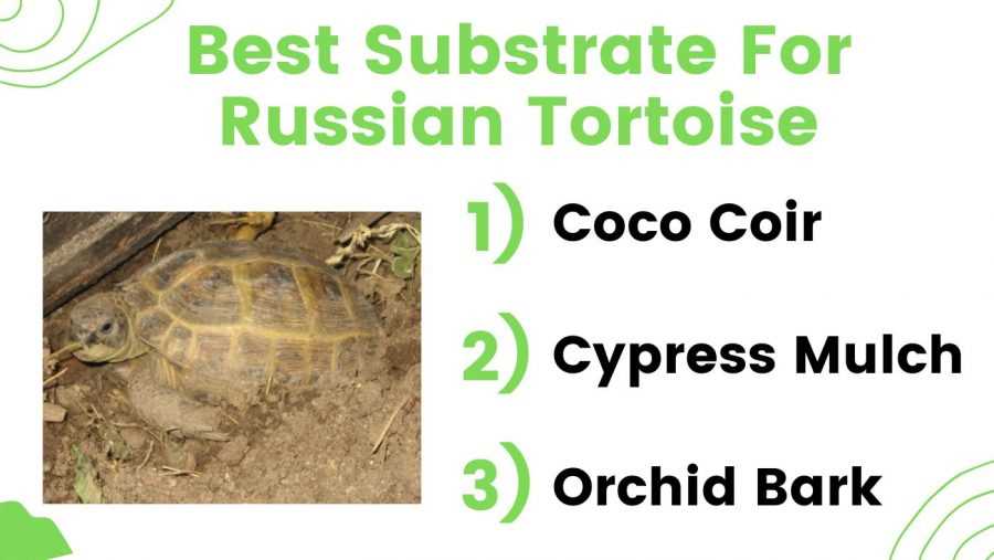 Natural Substrate Choices